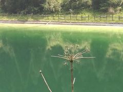 -武陵山森林公园