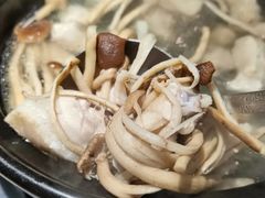 -探窝·竹笙椰子鸡(杨箕店)