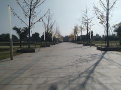 -九里河湿地公园