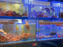 -南海渔村(珠江新城店)