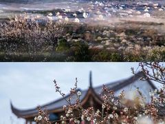 -西山风景区