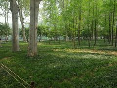 -河南省黄河迎宾馆