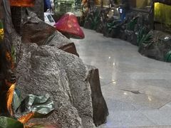 -上海大自然野生昆虫馆(东方明珠·爬宠昆虫探索中心)