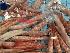 -东江海鲜酒家(艺都分店)