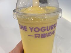 -一只酸奶牛(洪崖洞11楼店)