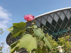 -中国移动南方基地