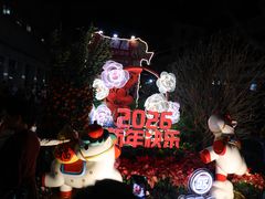 -越秀西湖花市(广州城市广场花卉店)