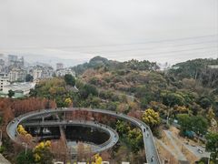 -福道