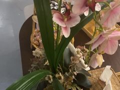 -施奈儿.洗头頭療.按摩SPA.采耳(上梅林店)