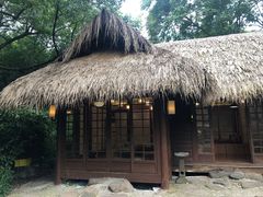 -中国茶叶博物馆(双峰馆区)