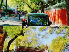 -北京国子监胡同