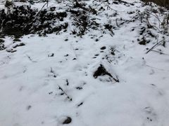 -九峰山