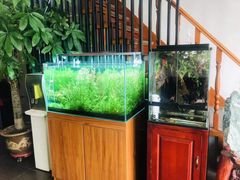 -繁花足道(梅江店)