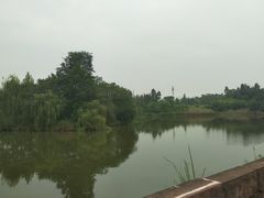 -白鹭湾湿地公园