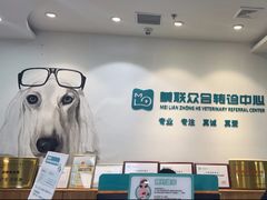 -美联众合动物医院·24h转诊中心