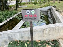 -广东中医药博物馆
