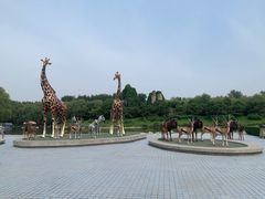 -北京野生动物园