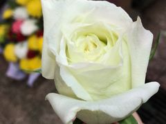 -Moka Bros 摩卡站(西单大悦城店)