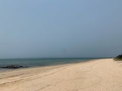 -北海金海湾红树林生态旅游区