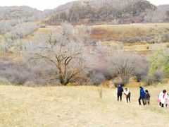 -塞罕坝国家级自然保护区