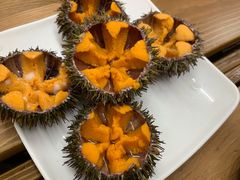 -海胆小馆(东北水饺·春柳店)