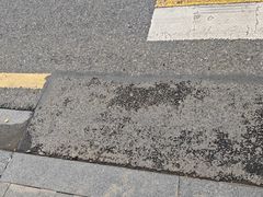-湖锦酒楼·旗舰店(三阳总店)