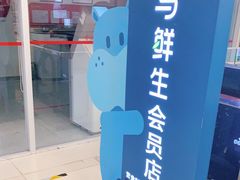 -盒马鲜生(大成店)