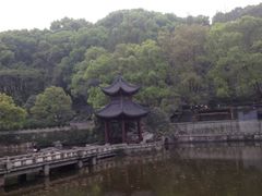 -忠山公园