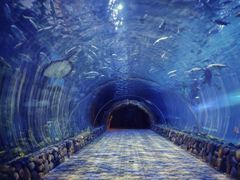 -华夏文旅海洋公园