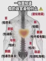 -香薇妮丝·定制减肥·身材管理