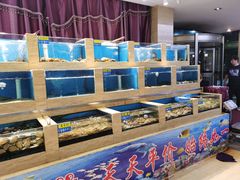 水产区-韩记海鲜饺子旗舰店(红海新区店)