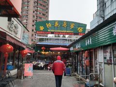 -曲阳花鸟市场(曲阳路店)