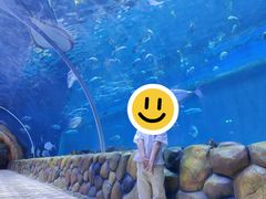 -华夏文旅西安度假区