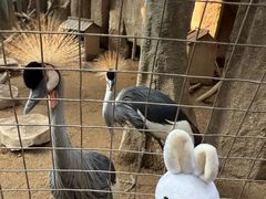 -长鹿旅游休博园
