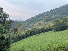 -敬亭山风景名胜区