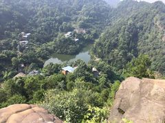 -南山植物园