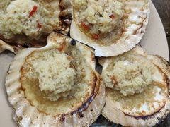 蒜蓉烤贝-贞姨美食·老字号海鲜大排档