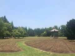 -上海滨江森林公园