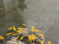 -觀芷隐轩