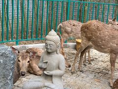 -北京野生动物园