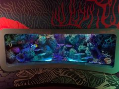 -沈阳海洋探索中心