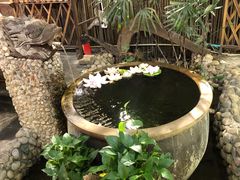 -三道苗苗鱼·美蛙黄辣丁(八里店)