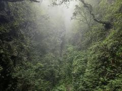 -塔云山