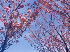 -白塘生态植物园
