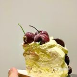 魔都探店🍒🍒🍒半糖主义车厘子蛋糕来啦