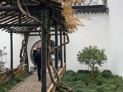 -拙政园
