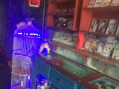 -星宿秘码(鼓浪屿老店)