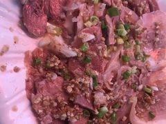 -东鸽皇(奥园·中环广场店)