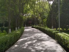 -水车博览园