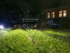 -上海老站(徐家汇店)